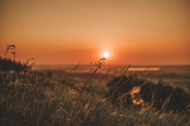 Image by Ruslan Sikunov from Pixabay